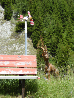 Sedrun6