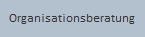 Organisationsberatung
